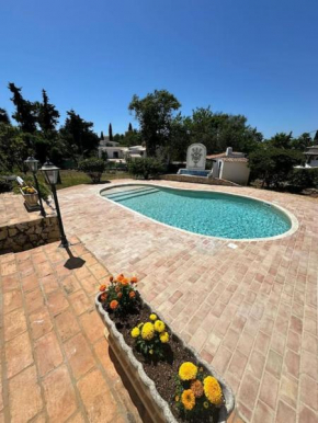 Charming swimming pool villa